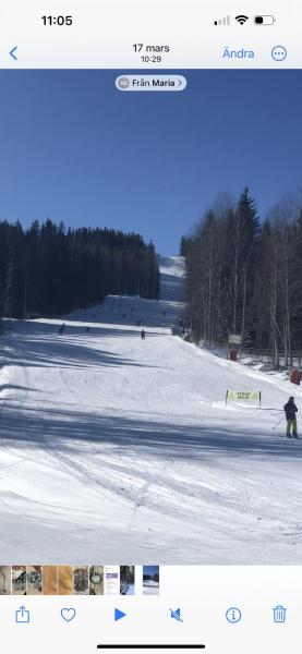 KungsbergetNatur, Järbo